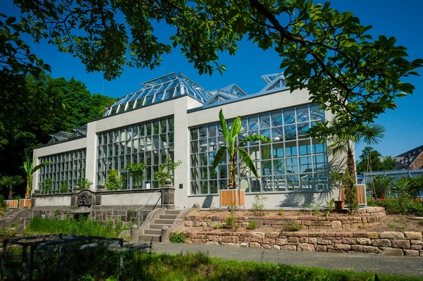 Foto des Palmenhauses im Botanischen Garten