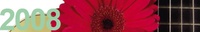 banner-2008