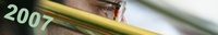 banner-2007