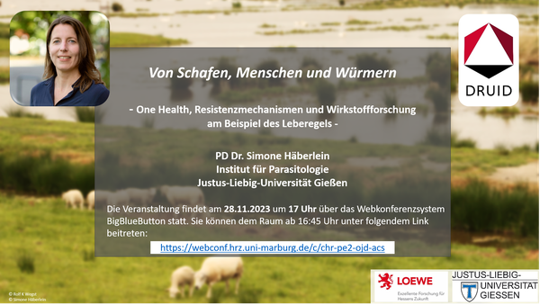 LOEWE-DRUID - Vortragsreihe - Dr. Simone Häberlein