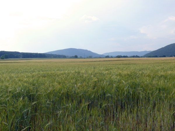 Unteres Trebgasttal_KOLB.jpg