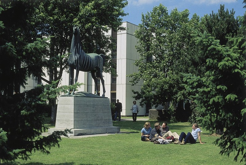 Discussions in the shade of the “Whinnying Stallion” on the “Phil I” campus