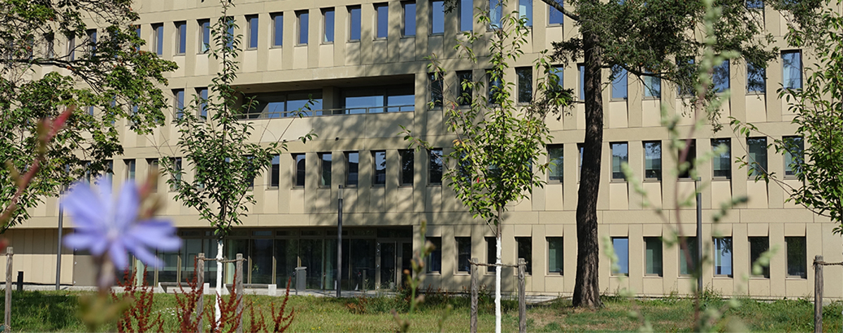 Campus 1 GCSC Summer - Photo: Elnaz Rezaei