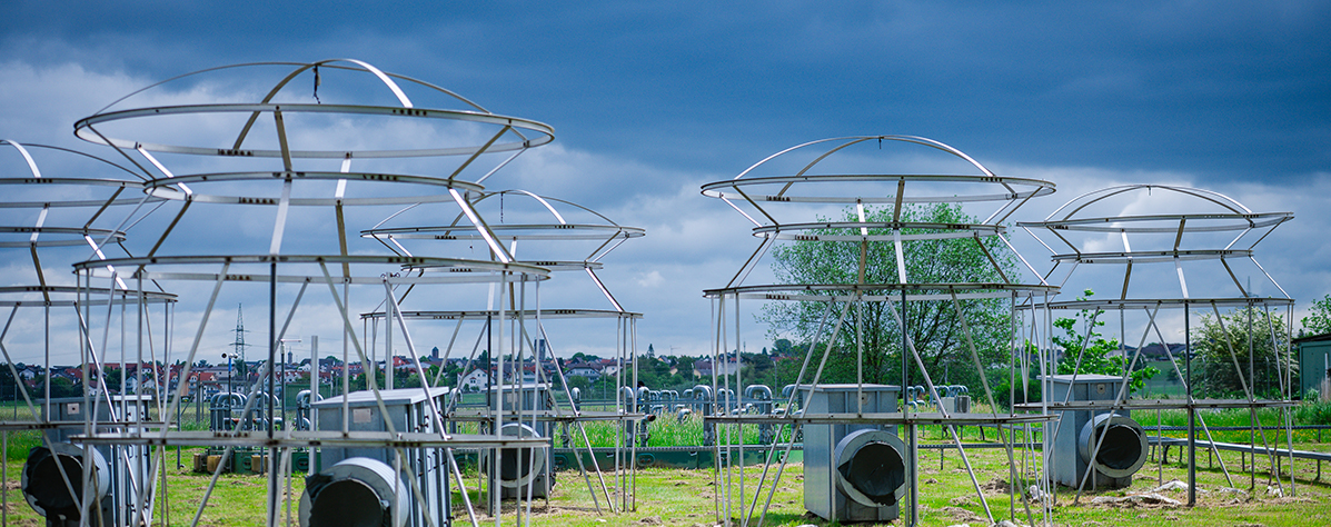 Environmental Sciences B.Sc. Apply now - Photo: Katrina Friese