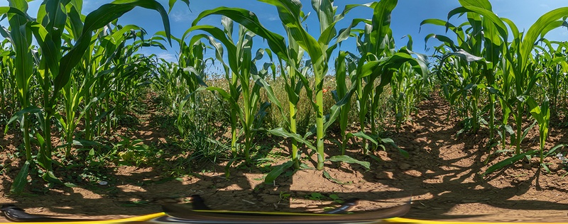 Global Food Systems B.Sc. Apply now - Photo: Till Schürmann