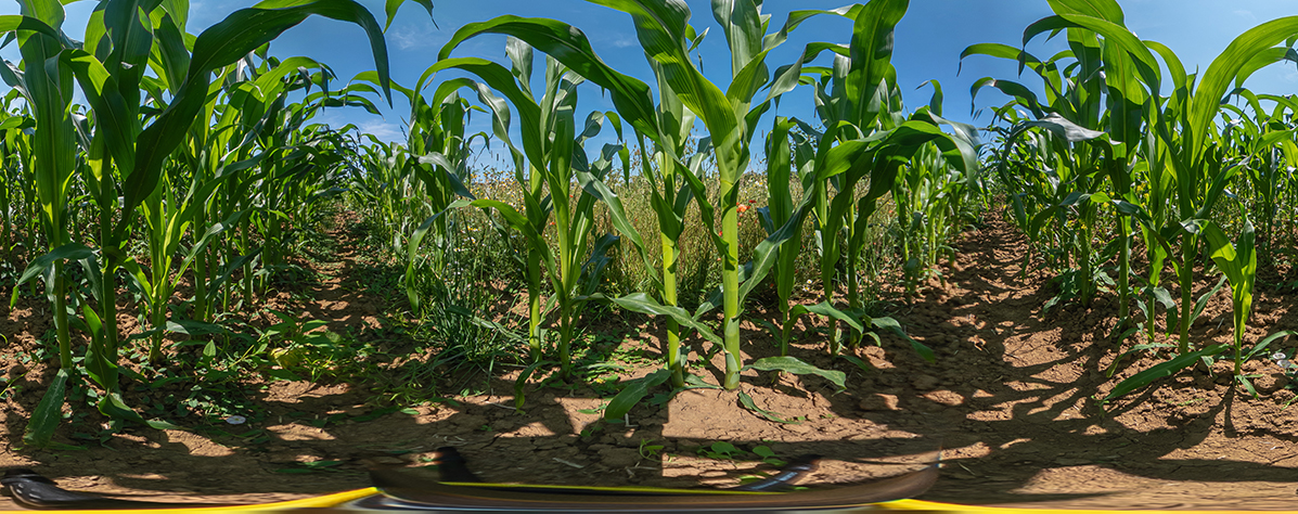Global Food Systems B.Sc. Apply now - Photo: Till Schürmann