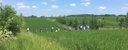 Reserach 1 Agroforestry - Photo: Eva Minarsch