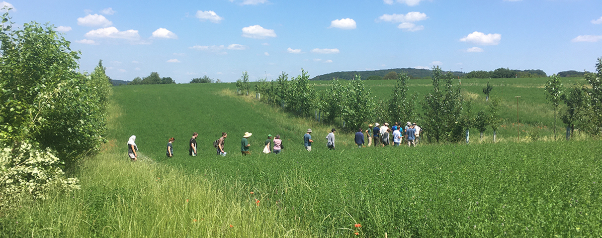 Reserach 1 Agroforestry - Photo: Eva Minarsch