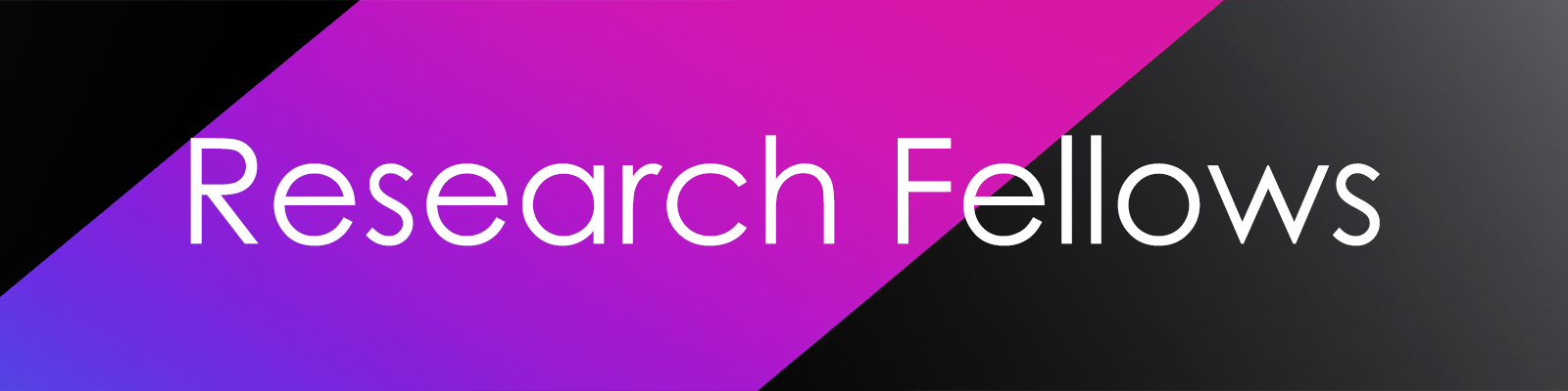 Banner Research Fellows