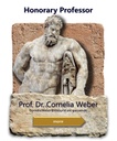 en_Honorarprofessur Weber.jpg