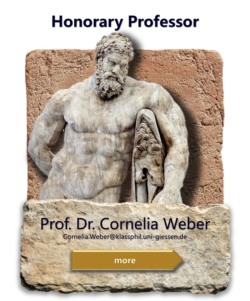 en_Honorarprofessur Weber.jpg