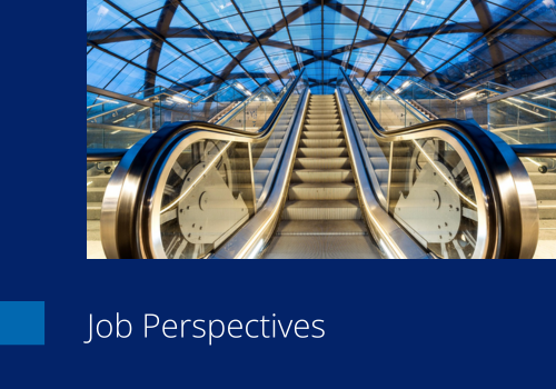Heading: Job Perspectives