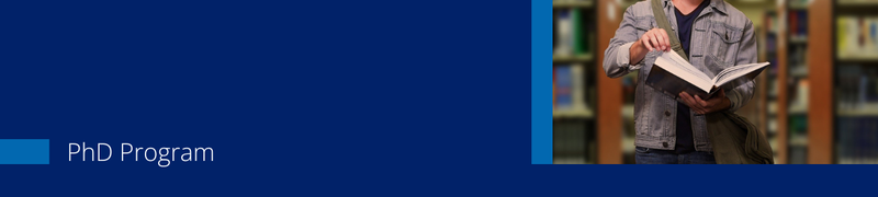 ICB Slider PhD