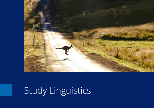 Nav Study Linguistics.png