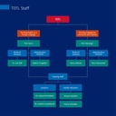 TEFL Organigramm