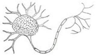 neuronbrain_klein.jpg