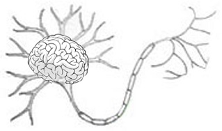 neuronbrain_klein.jpg