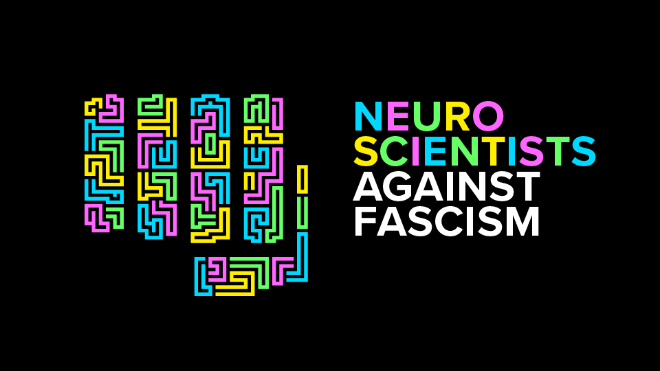 logo_nsaf