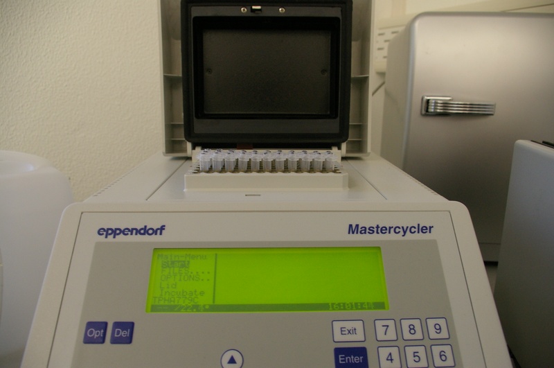 master cycler 01