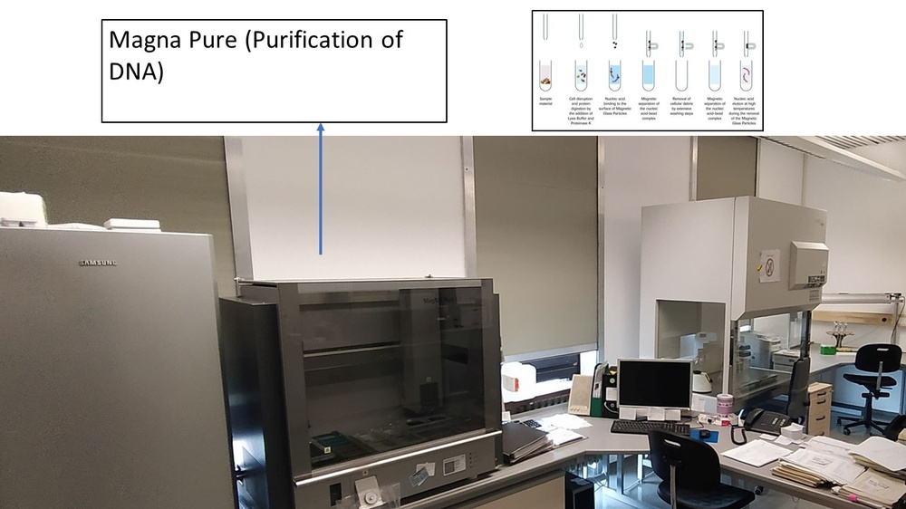 Magna Pure