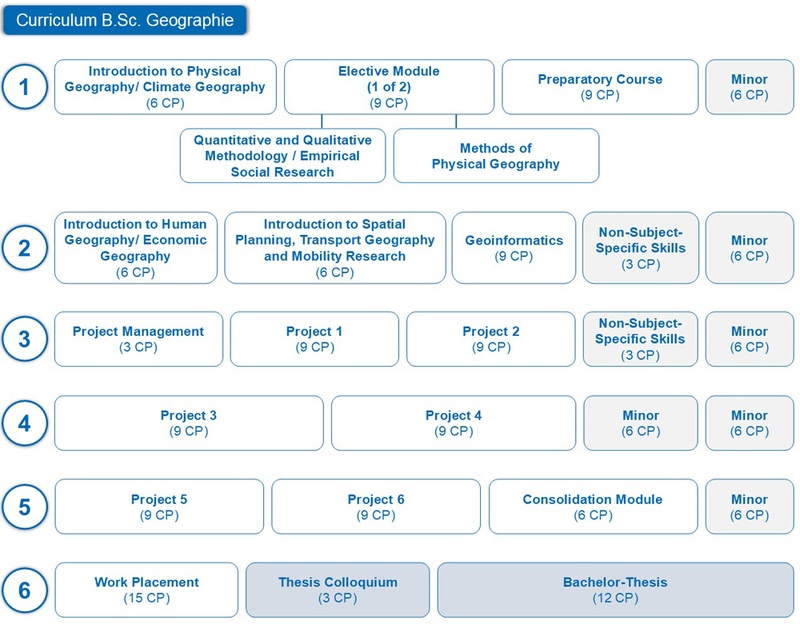 BSc Curriculum