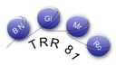 Image TRR81