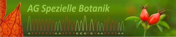 AG Spezielle Botanik