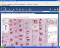 Prophase Screenshot