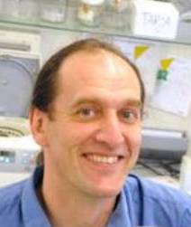 Dammann