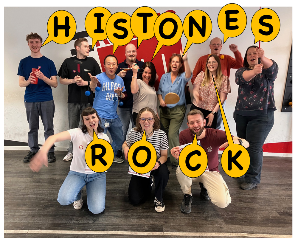Histones Rock.png