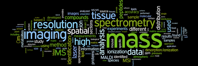 wordle breit