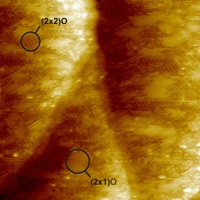 vtstm2