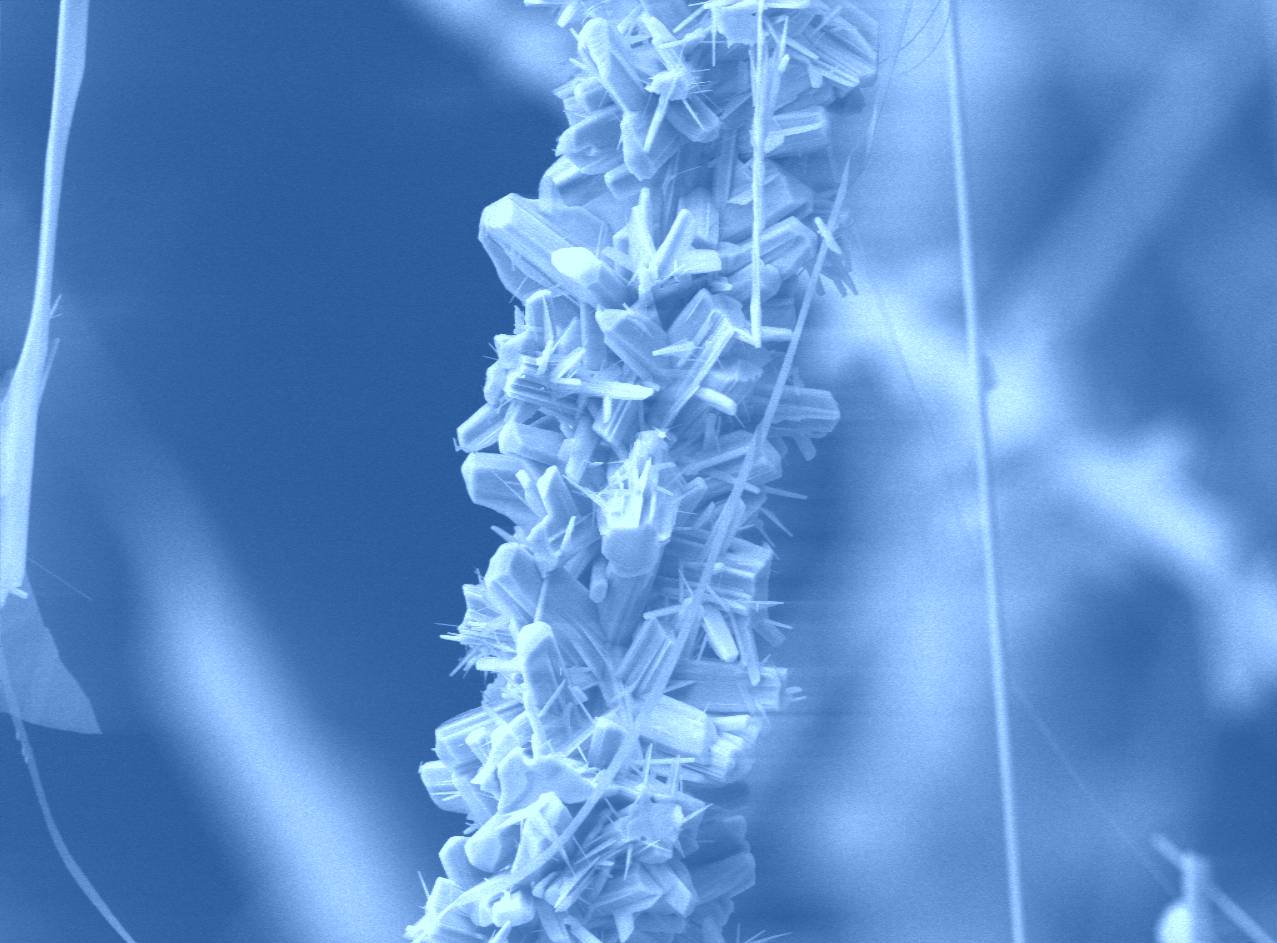 November 2007