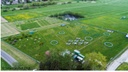 Experimental plant ecology