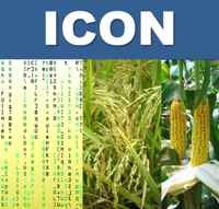 ICON - SP00