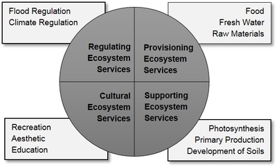 Ecosystem Services Ecosystem Services