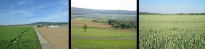 Bilder Bilder