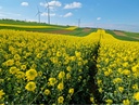 BeeContourSite