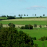 Landscape ecology