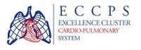 Image ECCPS