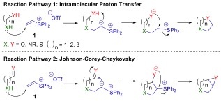 Reaction Pathway