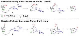 Reaction Pathway