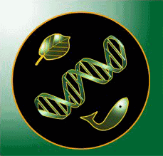 fh_logo_bio.png