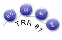 trr81