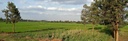 News Foundation Fiat Panis funds research on irrigation and nutrition linkages