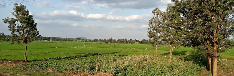 News Foundation Fiat Panis funds research on irrigation and nutrition linkages