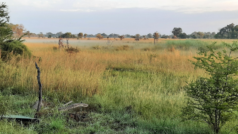 Nkasa Rupara National park adjointing the Balyerwa conservancy, Zambezi region, ©Domptail, 2023