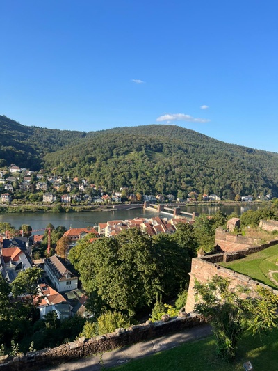 Heidelberg Excursion City view Heidelberg Excursion City view