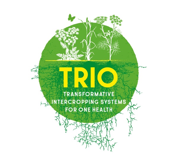 Logo_English_TRIO_Final_InesReinisch_RGB_English.jpg