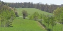 Alley cropping system GH1 and the silvopastoral system GH2 at Gladbacherhof